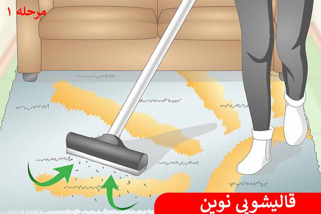روش استفاده از شامپو فرش