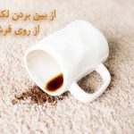 پاک کردن لکه قهوه از روی فرش