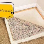 از بین بردن کپک فرش
