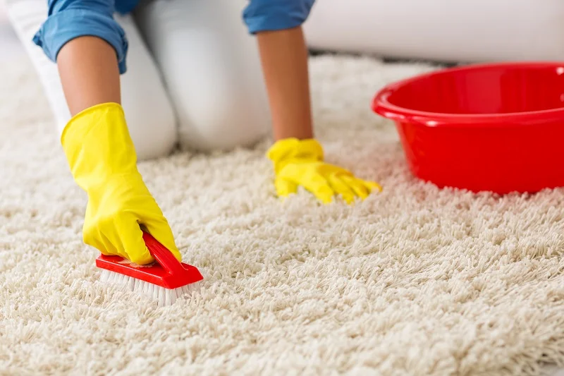 شامپو فرش بهترین مواد شوینده برای شستن فرش