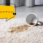 پاک کردن و از بین بردن لکه چای روی فرش ماشینی و دستباف {راه حل های خانگی}