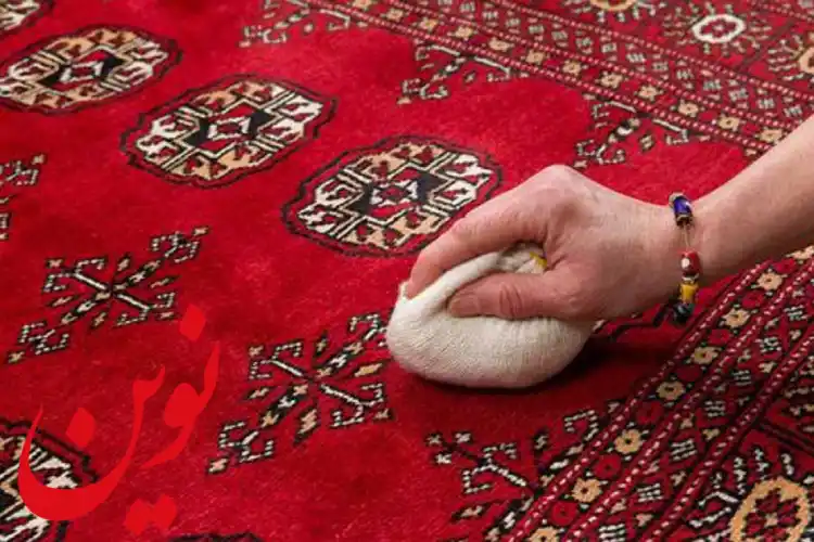 نوع بافت از عوامل موثر بر پرزدهی