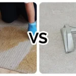 فرش شور بهتره یا بخارشوی؟ بررسی ویژگی‌ها و تفاوت‌ها برای انتخاب درست