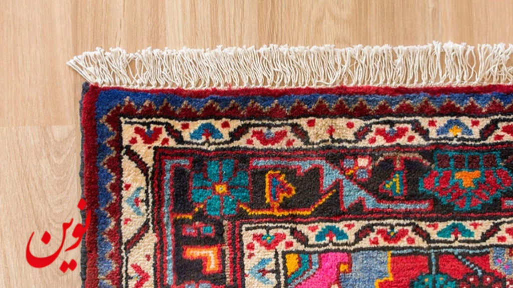 مراقبت از ریشه فرش