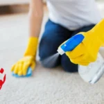 مزایای ضدعفونی کردن فرش چیست؟