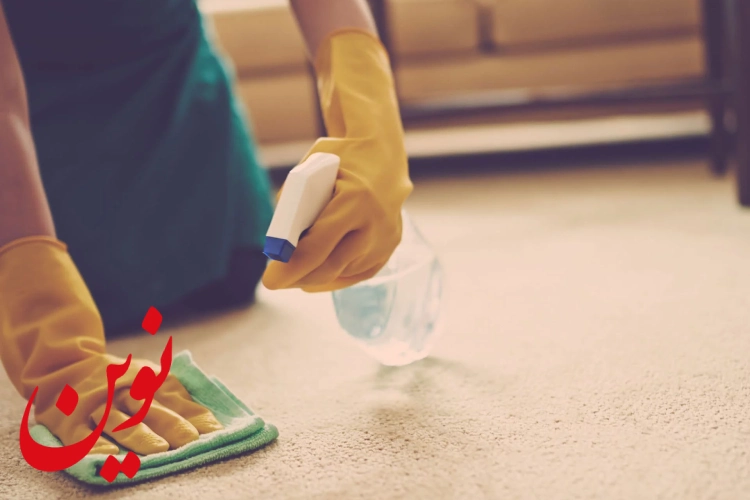 ضدعفونی کردن فرش حین آلودگی حیوانات