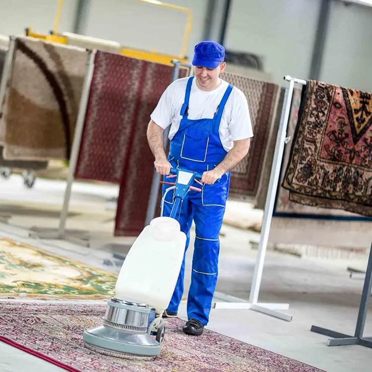 قیمت قالیشویی نوین